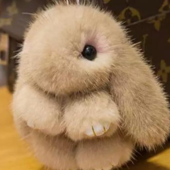 Meet your Posher, Francisco - Picture 1 of 1